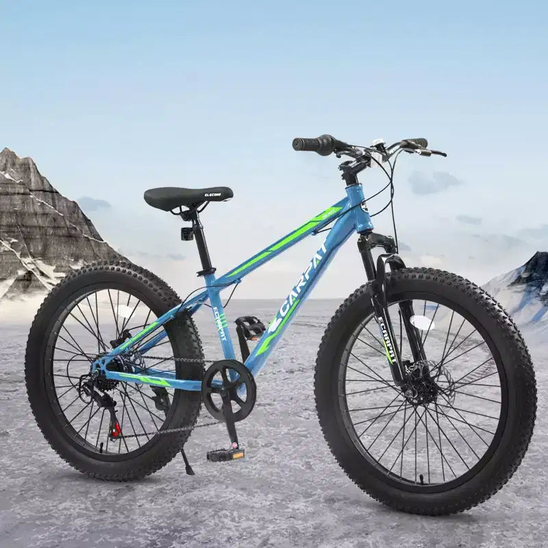 NAYSAYE Vélo VTT à Pneus Larges 24 Pouces avec Dérailleur 7 Vitesses et Double Frein à Disque pour Adultes et Adolescents, Bleu et Vert, 67*25*40