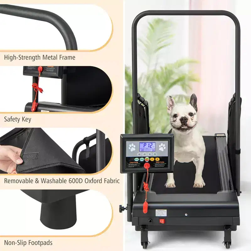 Tapis de course Costway pour chiens de petite et moyenne taille - Machine d'entraînement pour animaux de compagnie en intérieur