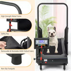 Tapis de course Costway pour chiens de petite et moyenne taille - Machine d'entraînement pour animaux de compagnie en intérieur