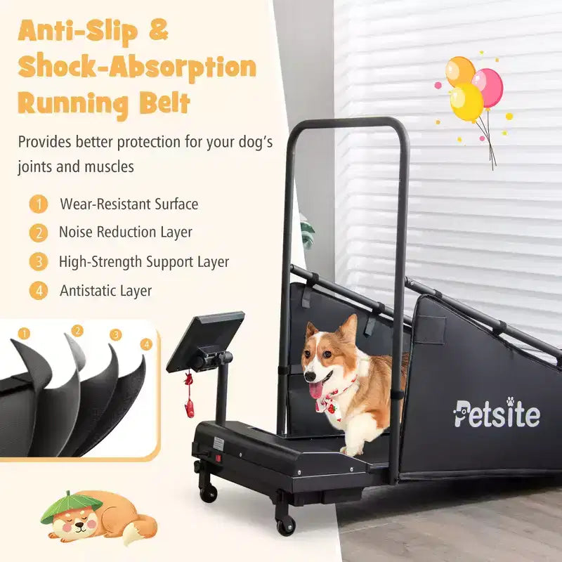 Tapis de course Costway pour chiens de petite et moyenne taille - Machine d'entraînement pour animaux de compagnie en intérieur