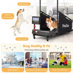 Tapis de course Costway pour chiens de petite et moyenne taille - Machine d'entraînement pour animaux de compagnie en intérieur