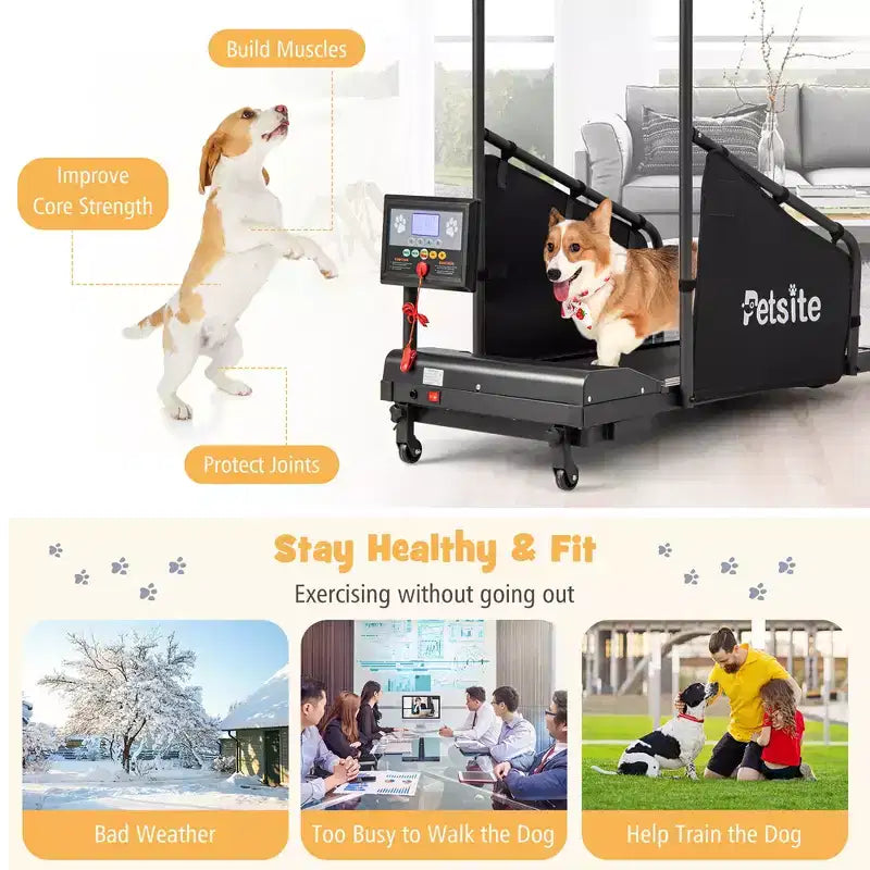 Tapis de course Costway pour chiens de petite et moyenne taille - Machine d'entraînement pour animaux de compagnie en intérieur