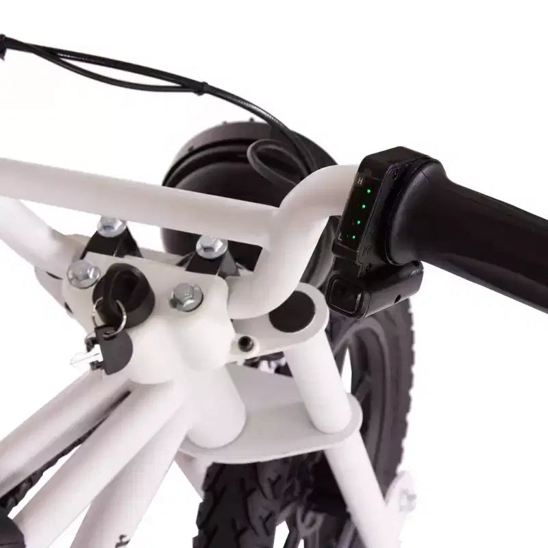 Vélo électrique miniature à enjambement bas Droyd Kids' Weeler 14