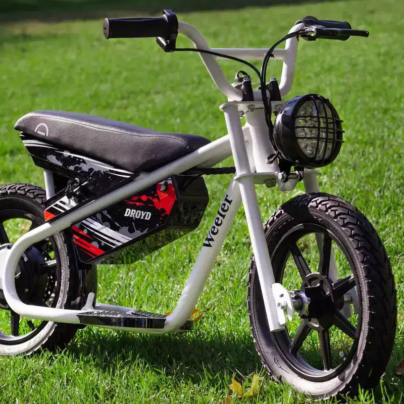 Vélo électrique miniature à enjambement bas Droyd Kids' Weeler 14
