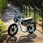 Vélo électrique miniature à enjambement bas Droyd Kids' Weeler 14