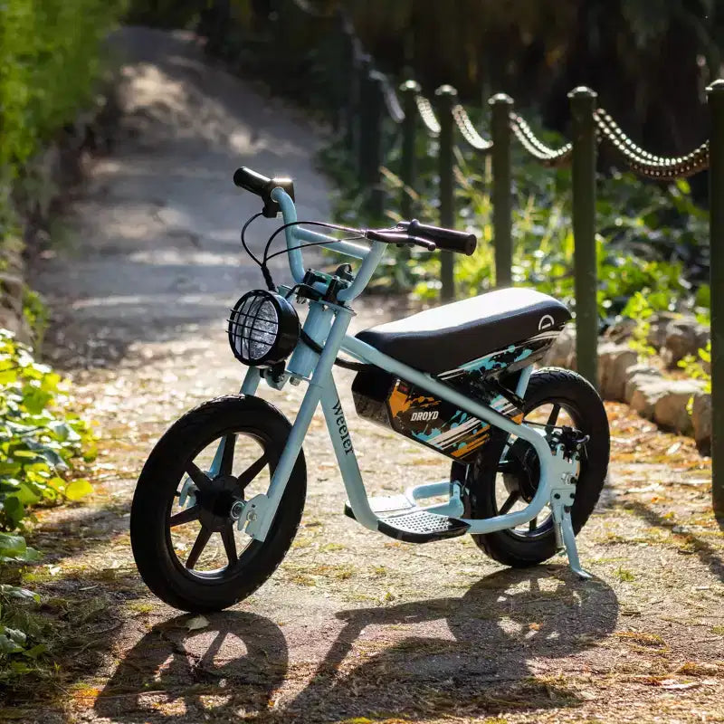 Vélo électrique miniature à enjambement bas Droyd Kids' Weeler 14