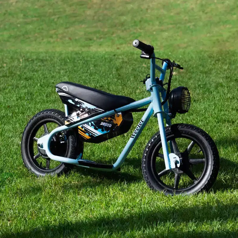 Vélo électrique miniature à enjambement bas Droyd Kids' Weeler 14