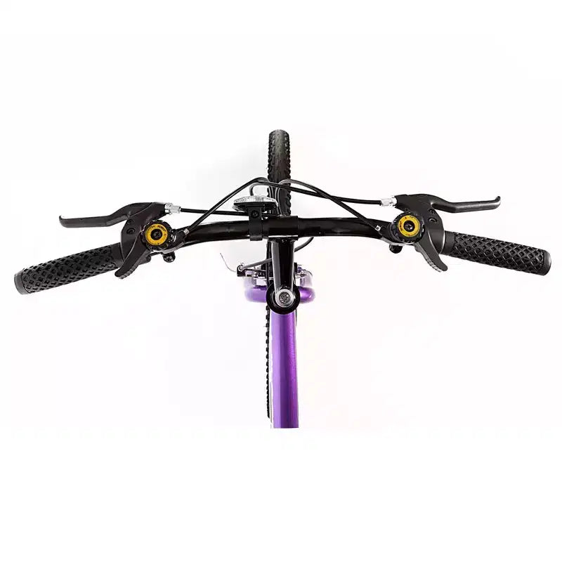 Titan Bikes Wildcat 12-Speed Women's Mountain Bike, Purple/Black