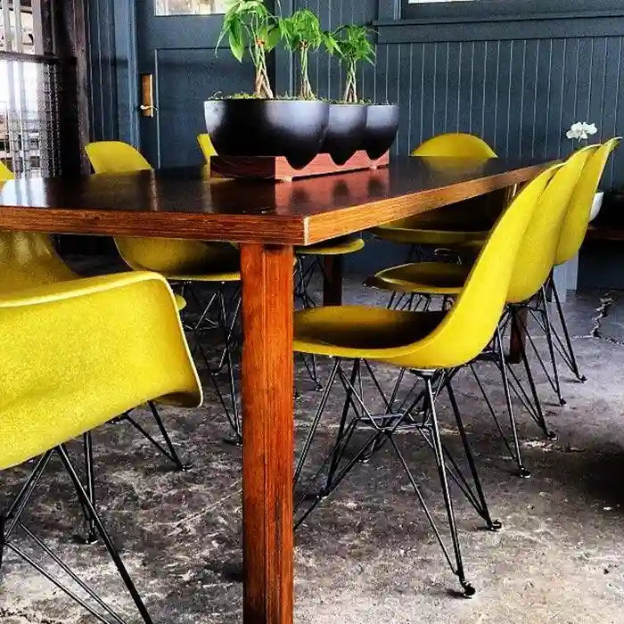 Modern Matte Plastic Accent Dining Chair with Black Wire Chrome Legs