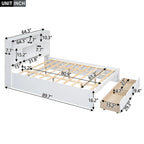 Queen Size Platform Bed with Storage Headboard and 2 Drawers