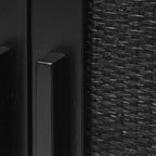 Black 2-Door Cabinet