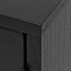 Black 2-Door Cabinet