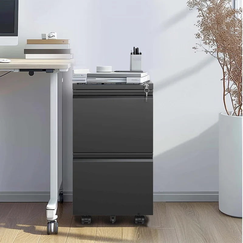2-Drawer Metal Rolling File Cabinet with Lock for Legal/Letter/A4 Files